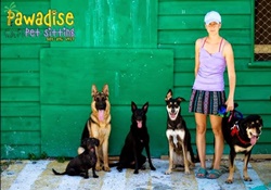 doggy daycare in the florida keys