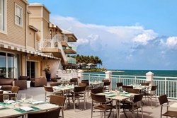 pet friendly hotel in key west pier house resort and spa dog friendly hotel