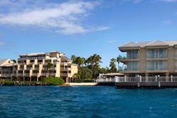 pet friendly hotel in key west pier house resort and spa dog friendly hotel