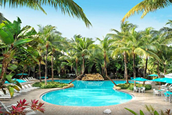 pet friendly hotel in the florida keys