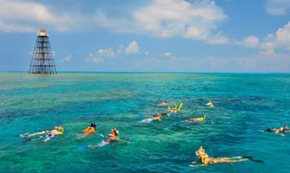 snorkeling tour in key largo