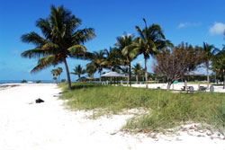 dog beach in the florida keys