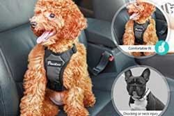 dog safety vest harness