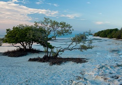 pet friendly park in the florida keys